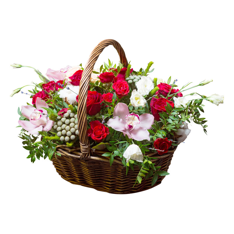 Devant -L’Agitateur Floral Boutique 575054532184d Fotolia 104101184 L 1