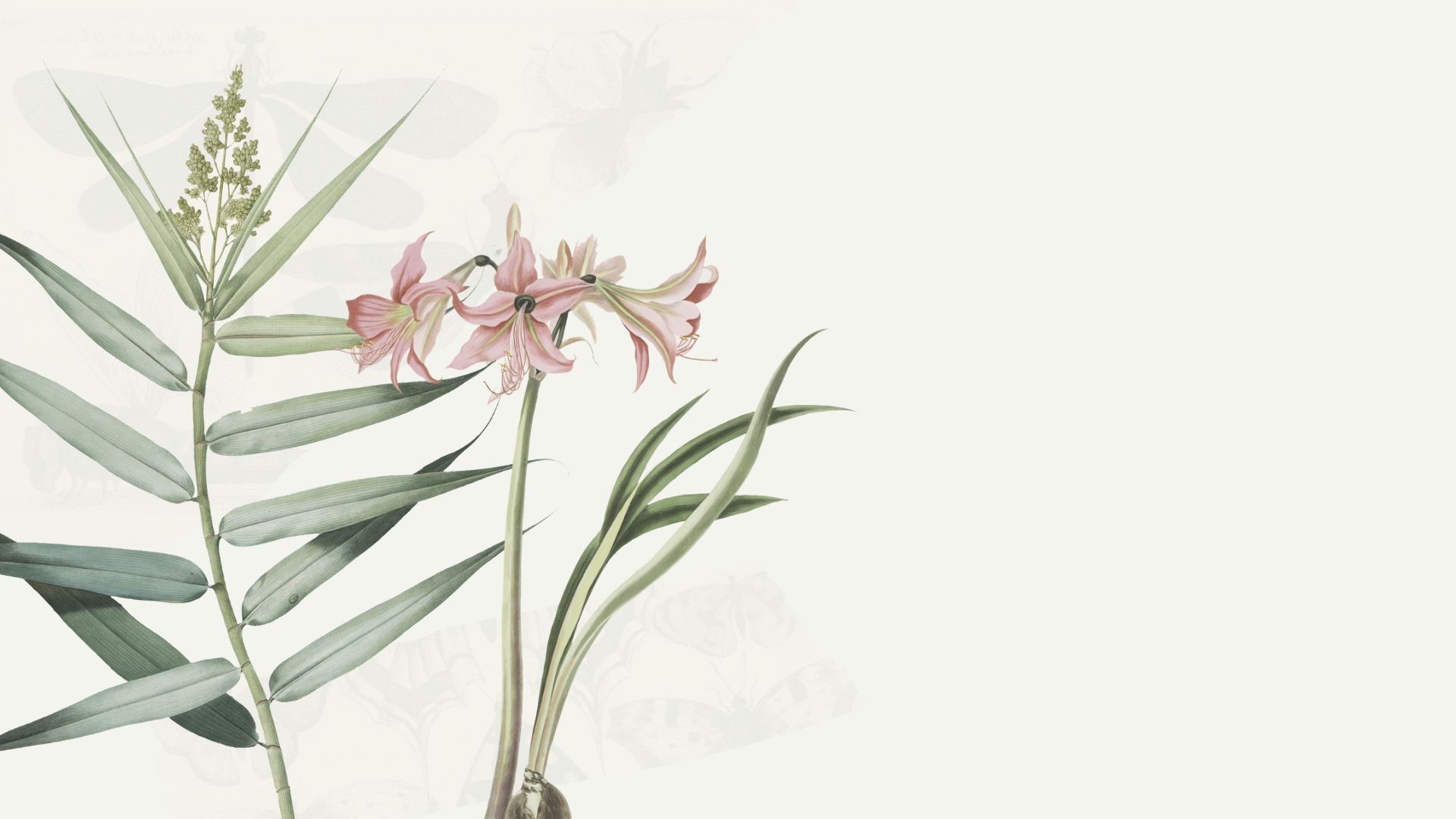 Devant -L’Agitateur Floral Boutique Green and Beige Vintage Illustration Flowers Presentation 1