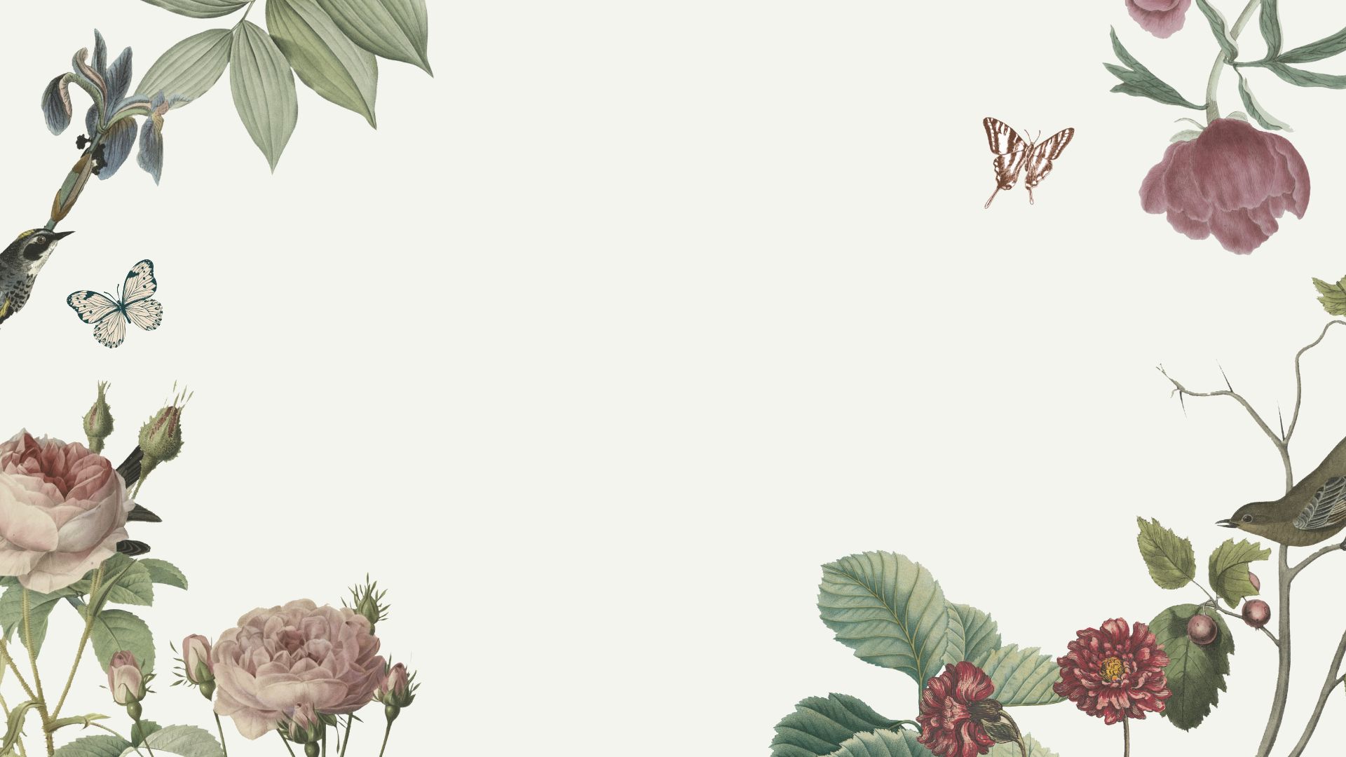 Devant -L’Agitateur Floral Boutique Green and Beige Vintage Illustration Flowers Presentation