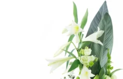 Bouquet De Deuil Blanc, Condoléances 5 Bouquet De Deuil Blanc, Condoléances -L’Agitateur Floral Boutique bouquet de deuil blanc condoleances 2