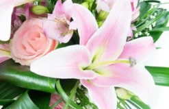 Bouquet De Fleurs Rosa Lys -L’Agitateur Floral Boutique bouquet de fleurs rosa lys 2