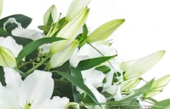 Bouquet De Lys Blanc "Alicante" -L’Agitateur Floral Boutique bouquet de lys blanc alicante 2