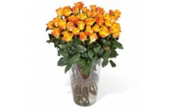 Bouquet De Roses Oranges Longues Tiges