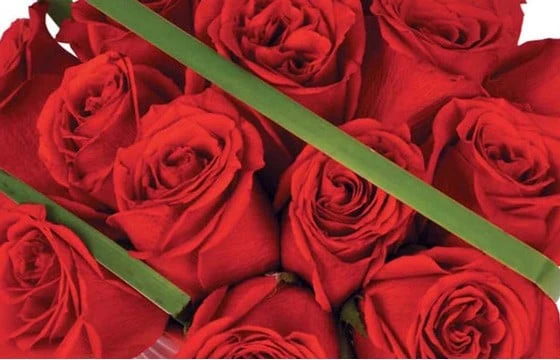 Bouquet De Roses Rouges En Pot Grenade 2 Bouquet De Roses Rouges En Pot Grenade – Image 2