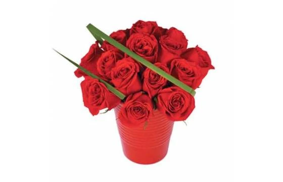 Bouquet De Roses Rouges En Pot Grenade 1 Bouquet De Roses Rouges En Pot Grenade