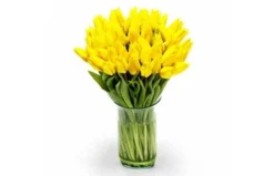 Bouquet De Tulipes Jaunes