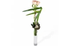 Bouquet Linéaire De Roses Comtesse