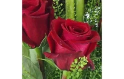 Bouquet Long De Roses Rouges "Saragosse" -L’Agitateur Floral Boutique bouquet long de roses rouges saragosse 2