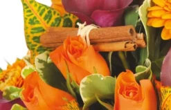 Bouquet Orange Craquant -L’Agitateur Floral Boutique bouquet orange craquant 2