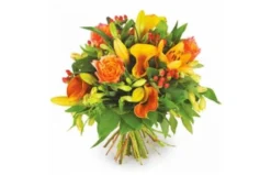 Bouquet Orange Tonique