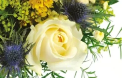 Bouquet Rond Alchimie 5 Bouquet Rond Alchimie -L’Agitateur Floral Boutique bouquet rond alchimie 2