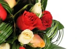 Bouquet Rond De Roses Colorées Joie 5 Bouquet Rond De Roses Colorées Joie -L’Agitateur Floral Boutique bouquet rond de roses colorees joie 2