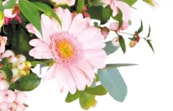 Bouquet Rond Dédicace 5 Bouquet Rond Dédicace -L’Agitateur Floral Boutique bouquet rond dedicace 2