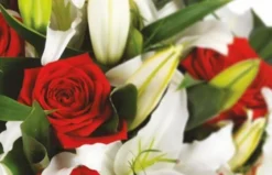 Bouquet Rond Délicatesse -L’Agitateur Floral Boutique bouquet rond delicatesse 2