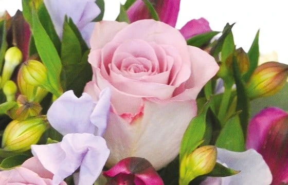 Bouquet Rond Eclat 2 Bouquet Rond Eclat – Image 2