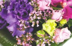 Bouquet Rond Perle D'O 5 Bouquet Rond Perle D'O -L’Agitateur Floral Boutique bouquet rond perle d o 2