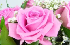 Bouquet Rond Pluie De Roses -L’Agitateur Floral Boutique bouquet rond pluie de roses 2