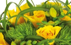 Bouquet Rond Vert Tige 5 Bouquet Rond Vert Tige -L’Agitateur Floral Boutique bouquet rond vert tige 2