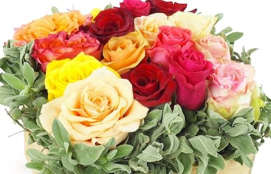 Carré De Roses Colorées "Los Angeles" 2 Carré De Roses Colorées "Los Angeles" – Image 2