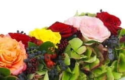 Chemin De Roses Colorées "Socrate" -L’Agitateur Floral Boutique chemin de roses colorees socrate 2