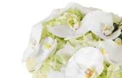 Coeur De Deuil Blanc Chérubin -L’Agitateur Floral Boutique coeur de deuil blanc cherubin 2