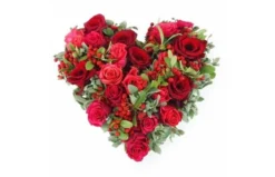 Coeur De Roses Rouges & Fuchsia "Tirana"