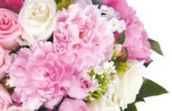 Coeur En Fleurs Roses Songe 5 Coeur En Fleurs Roses Songe -L’Agitateur Floral Boutique coeur en fleurs roses songe 2