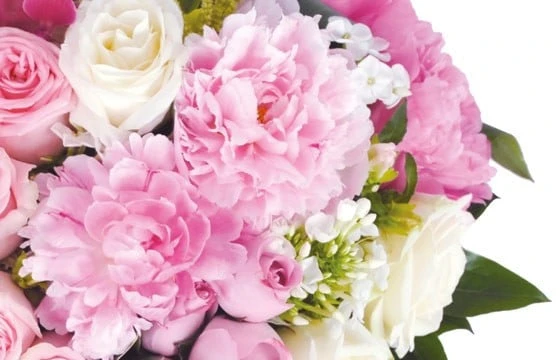 Coeur En Fleurs Roses Songe 3 Coeur En Fleurs Roses Songe – Image 3