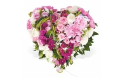 Coeur En Fleurs Roses Songe