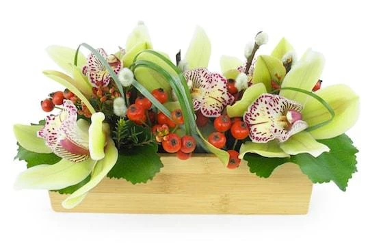 Composition Allongée Verte "Santa Ana" 1 Composition Allongée Verte "Santa Ana"