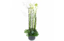 Composition Blanche En Hauteur "Lima"