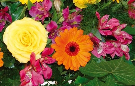 Composition De Deuil Univers 2 Composition De Deuil Univers – Image 2