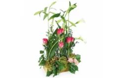 Composition De Fleur Rose & Vert "Salvador"