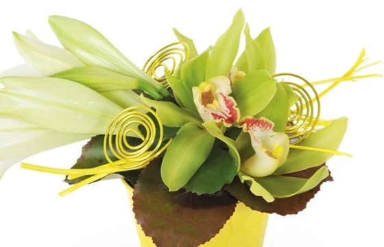 Composition De Fleurs Gaité 2 Composition De Fleurs Gaité – Image 2