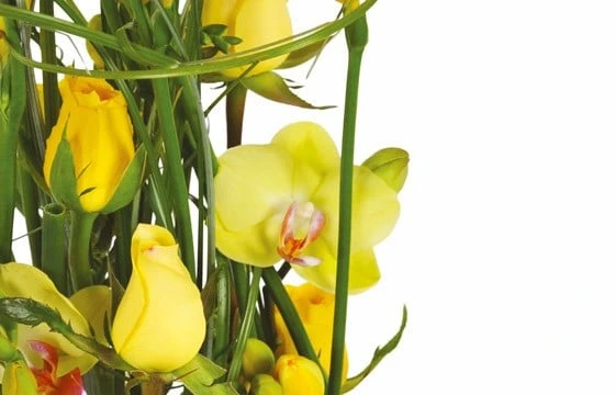 Composition De Fleurs Jaunes Bora-Bora 2 Composition De Fleurs Jaunes Bora-Bora – Image 2