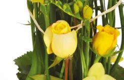 Composition De Fleurs Jaunes Bora-Bora 5 Composition De Fleurs Jaunes Bora-Bora -L’Agitateur Floral Boutique composition de fleurs jaunes bora bora 2