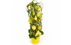 Composition De Fleurs Jaunes Bora-Bora