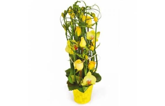Composition De Fleurs Jaunes Bora-Bora 1 Composition De Fleurs Jaunes Bora-Bora