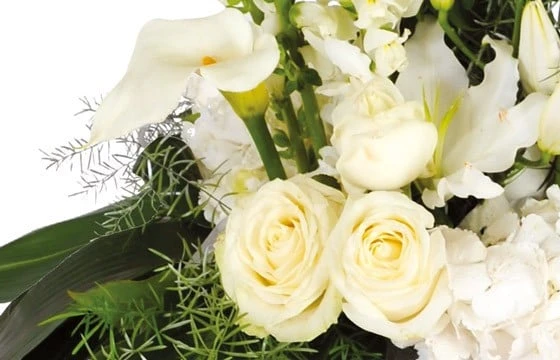 Composition De Lys Blancs Victoire 3 Composition De Lys Blancs Victoire – Image 3