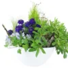 Composition De Plantes Mauve & Bleue "Naturae"