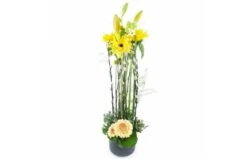 Composition En Hauteur Jaune "Madison"