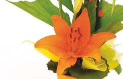 Composition Florale Abricot -L’Agitateur Floral Boutique composition florale abricot 2