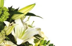 Composition Florale Pureté 5 Composition Florale Pureté -L’Agitateur Floral Boutique composition florale purete 2