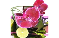 Composition Florale Chrysalide -L’Agitateur Floral Boutique composition florale rose et blanche chrysalide 2