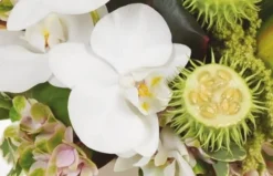 Composition Horizontale Eventail 5 Composition Horizontale Eventail -L’Agitateur Floral Boutique composition horizontale eventail 2