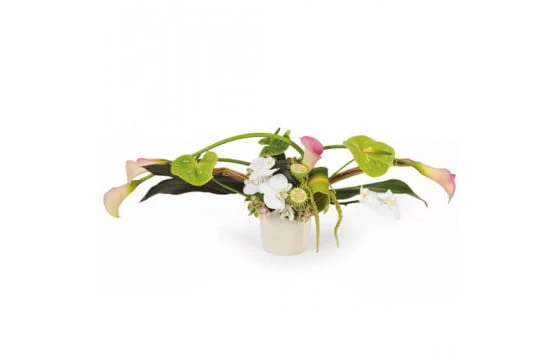 Composition Horizontale Eventail 1 Composition Horizontale Eventail