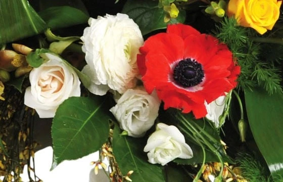 Composition Pour Un Enterrement Comète 2 Composition Pour Un Enterrement Comète – Image 2