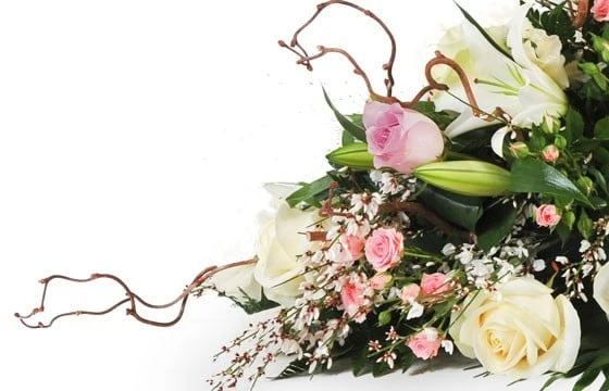 Composition Pour Un Enterrement Equinoxe 3 Composition Pour Un Enterrement Equinoxe – Image 3