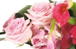 Composition Pureté Des Sens 5 Composition Pureté Des Sens -L’Agitateur Floral Boutique composition purete des sens 2