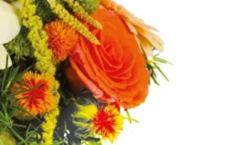 Composition Ronde Mignon -L’Agitateur Floral Boutique composition ronde mignon 2